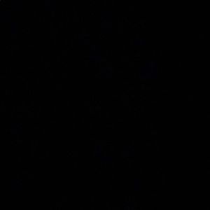 Meet your Posher, Fernanda